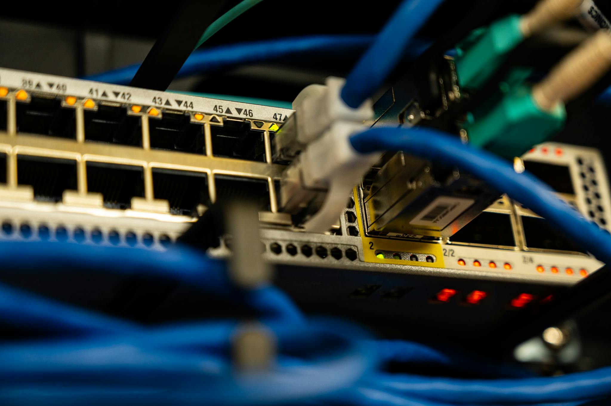 Lebzology Connectivity